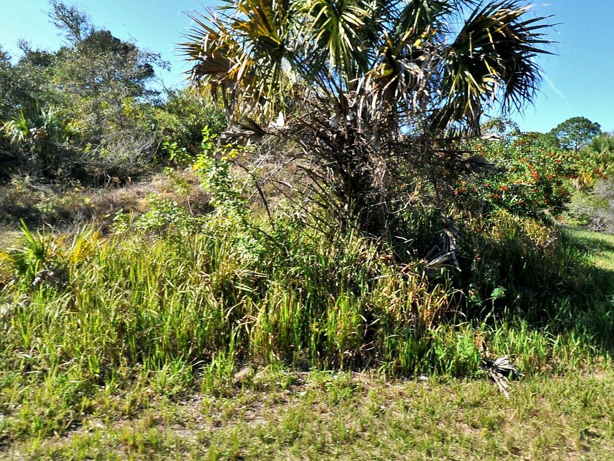 Patio Ter, FL