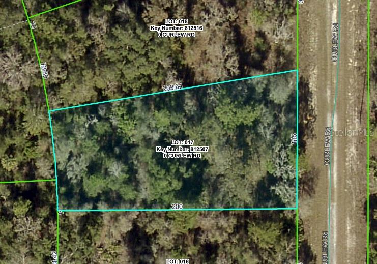 Curlew Rd, FL
