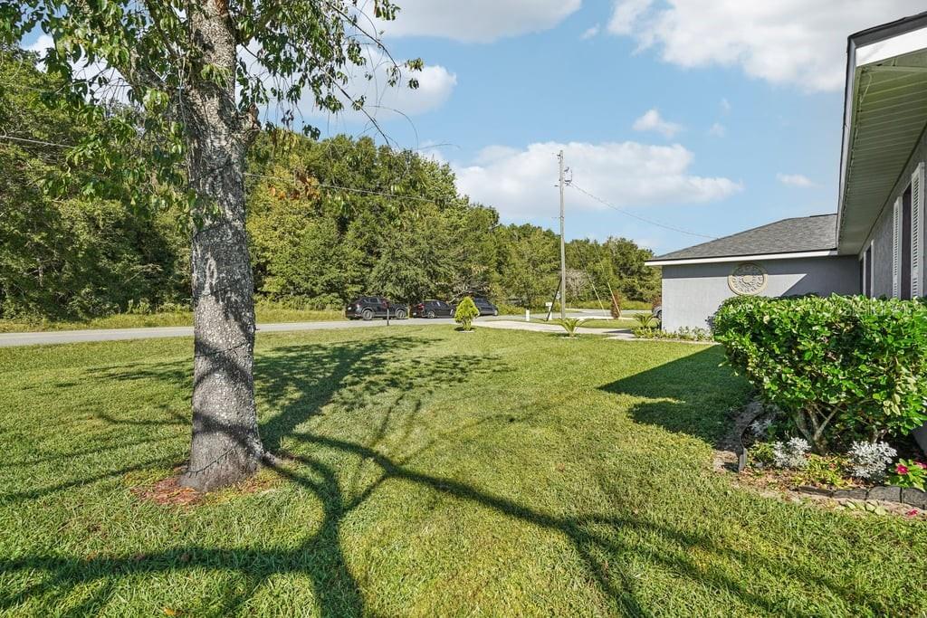 133 Walnut Road, FL