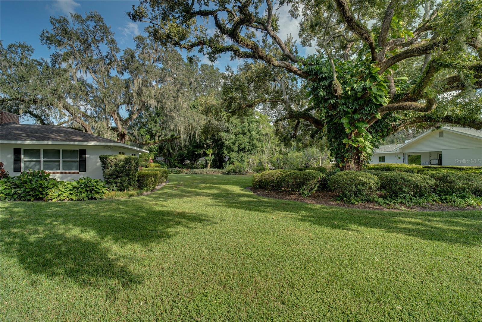 241 Dillard Street, FL