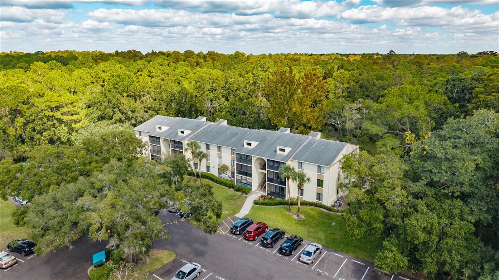 3232 Lake Pine Way, FL