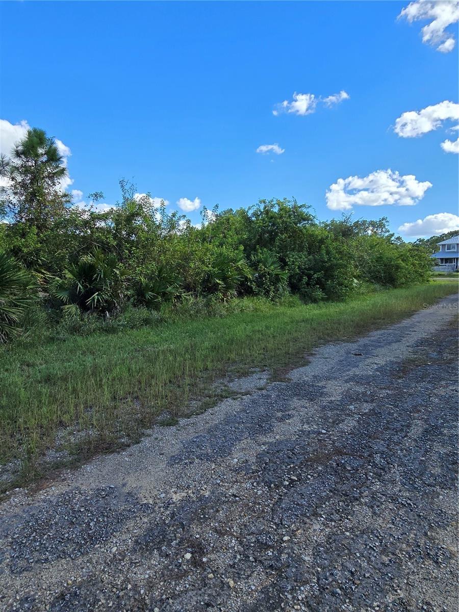 425 Wilder Avenue, FL