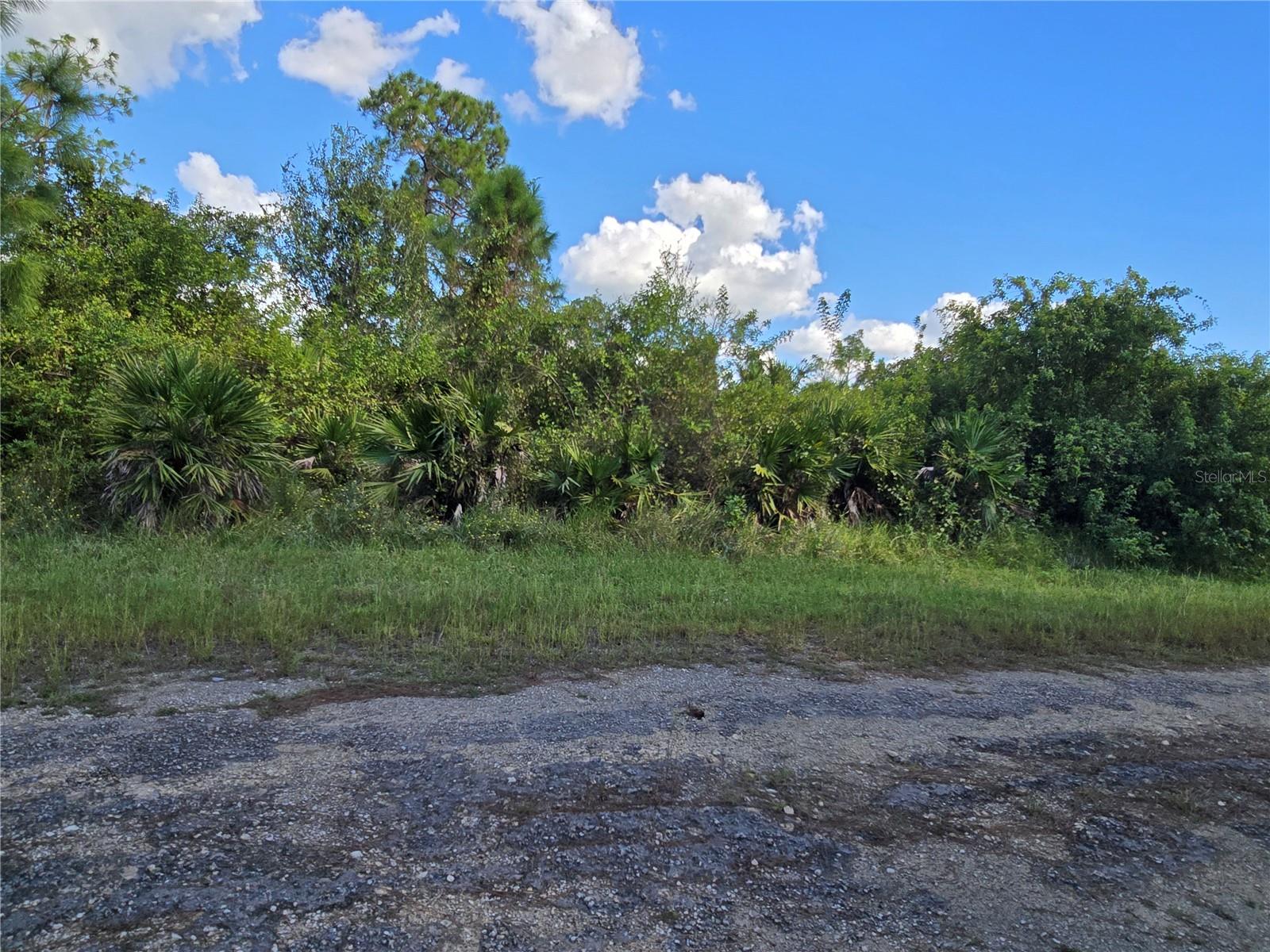 423 Wilder Avenue, FL