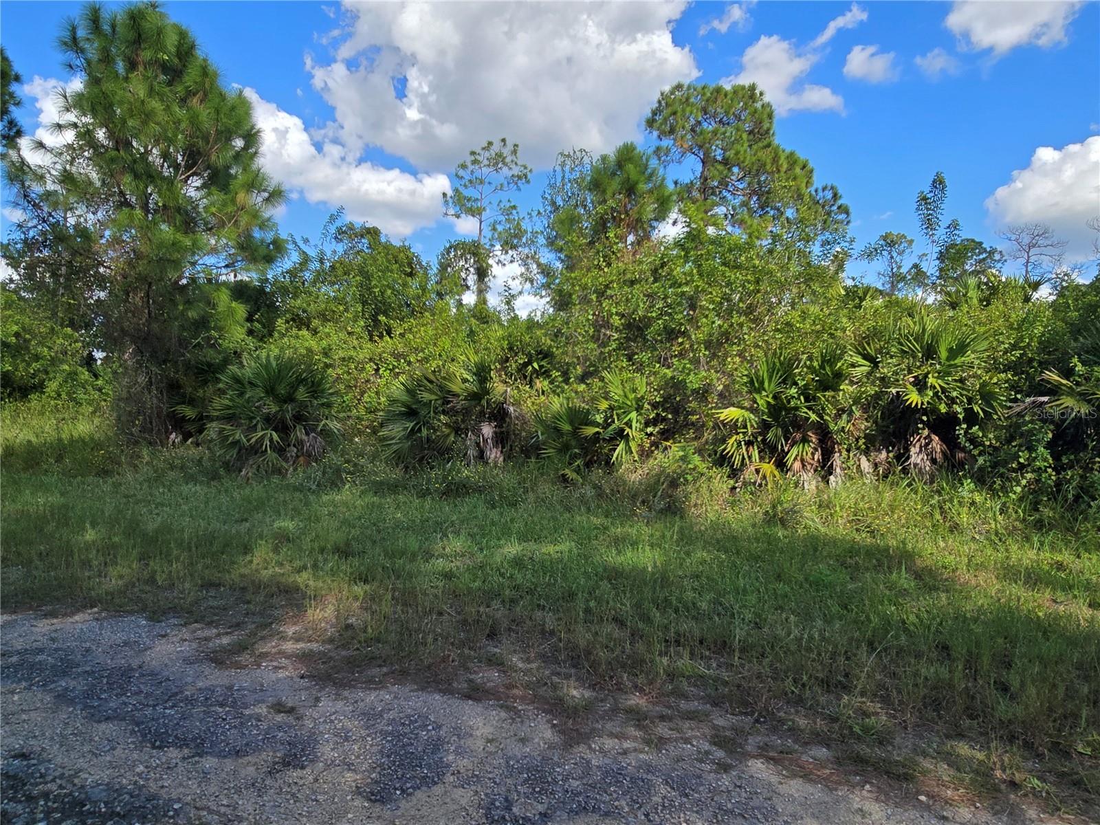 423 Wilder Avenue, FL