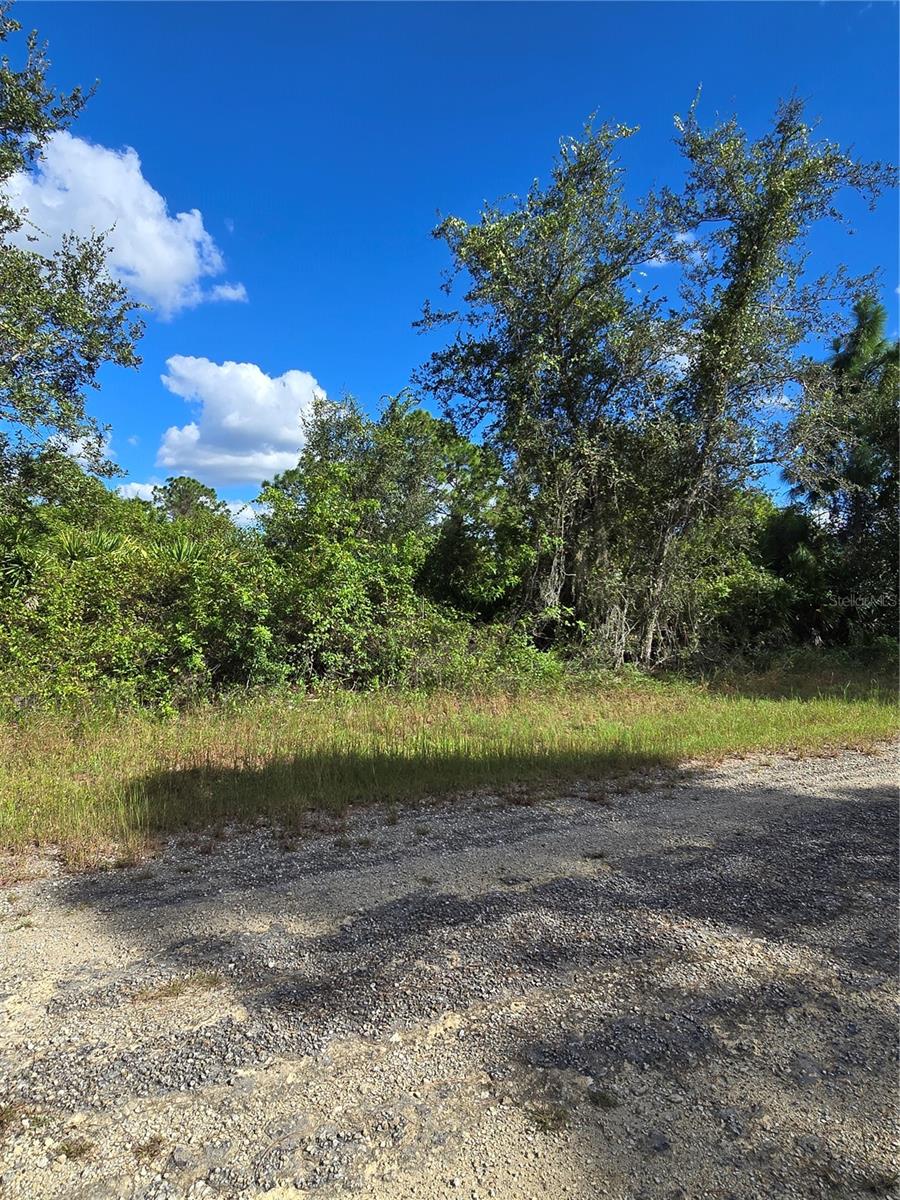 419 Wilder Avenue, FL