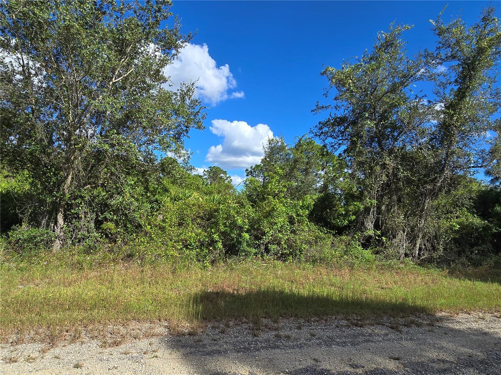 419 Wilder Avenue, FL