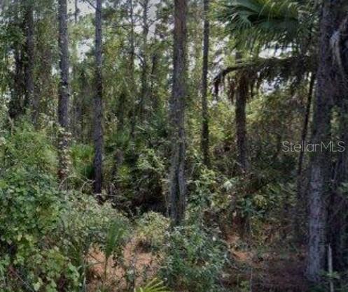 188 Tudor Rd Sw, FL