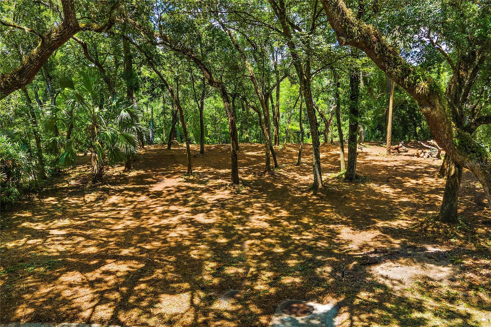 11731 Gail Drive, FL