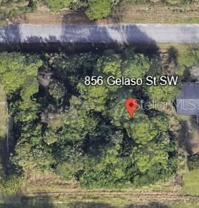 856 Gelaso St Sw, FL
