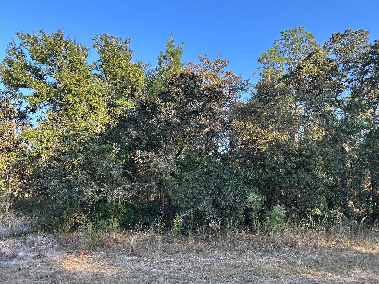 Tbd 148 Terrace, FL