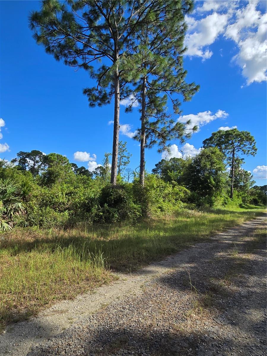 421 Wilder Avenue, FL