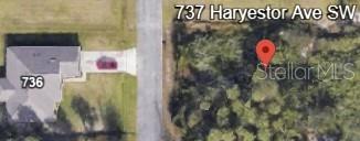 737 Haryestor Ave Sw, FL