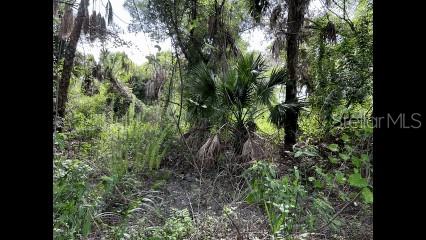Alpen Ave, FL