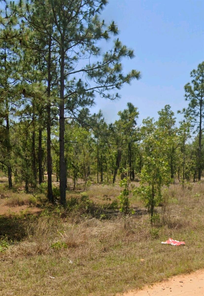 Lot 14 15 16 And 17 Idaho Ave, FL