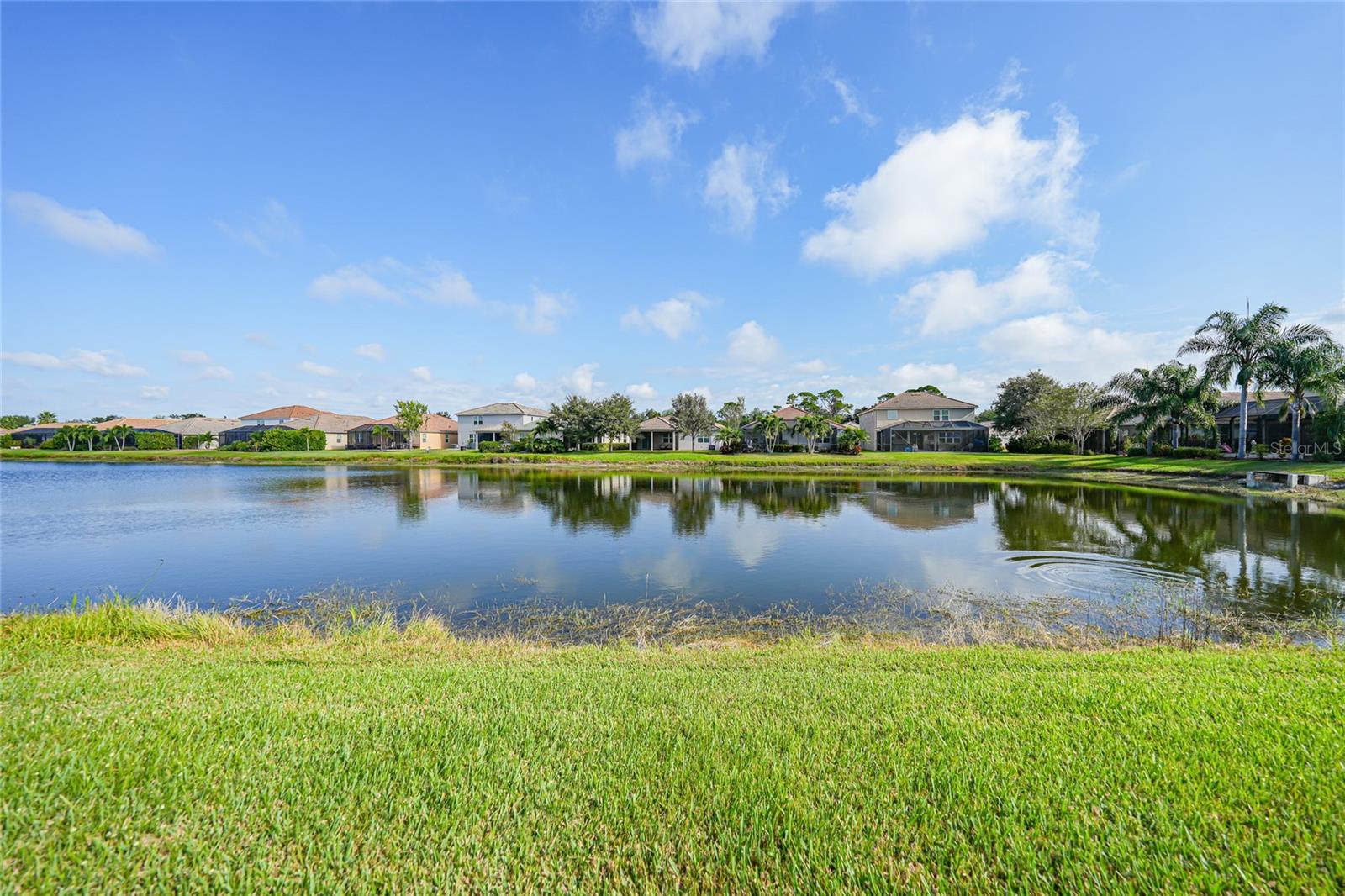 11720 Spotted Margay Avenue, FL