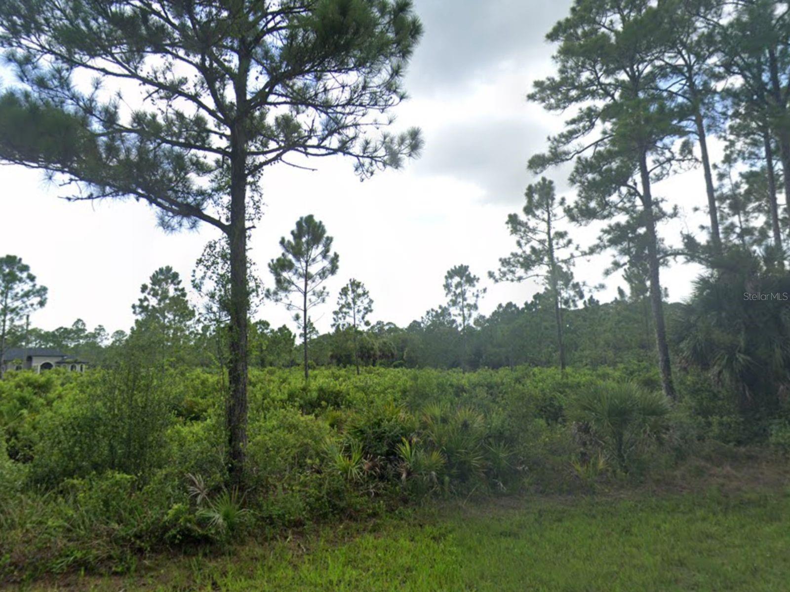 463 Reese Street, FL
