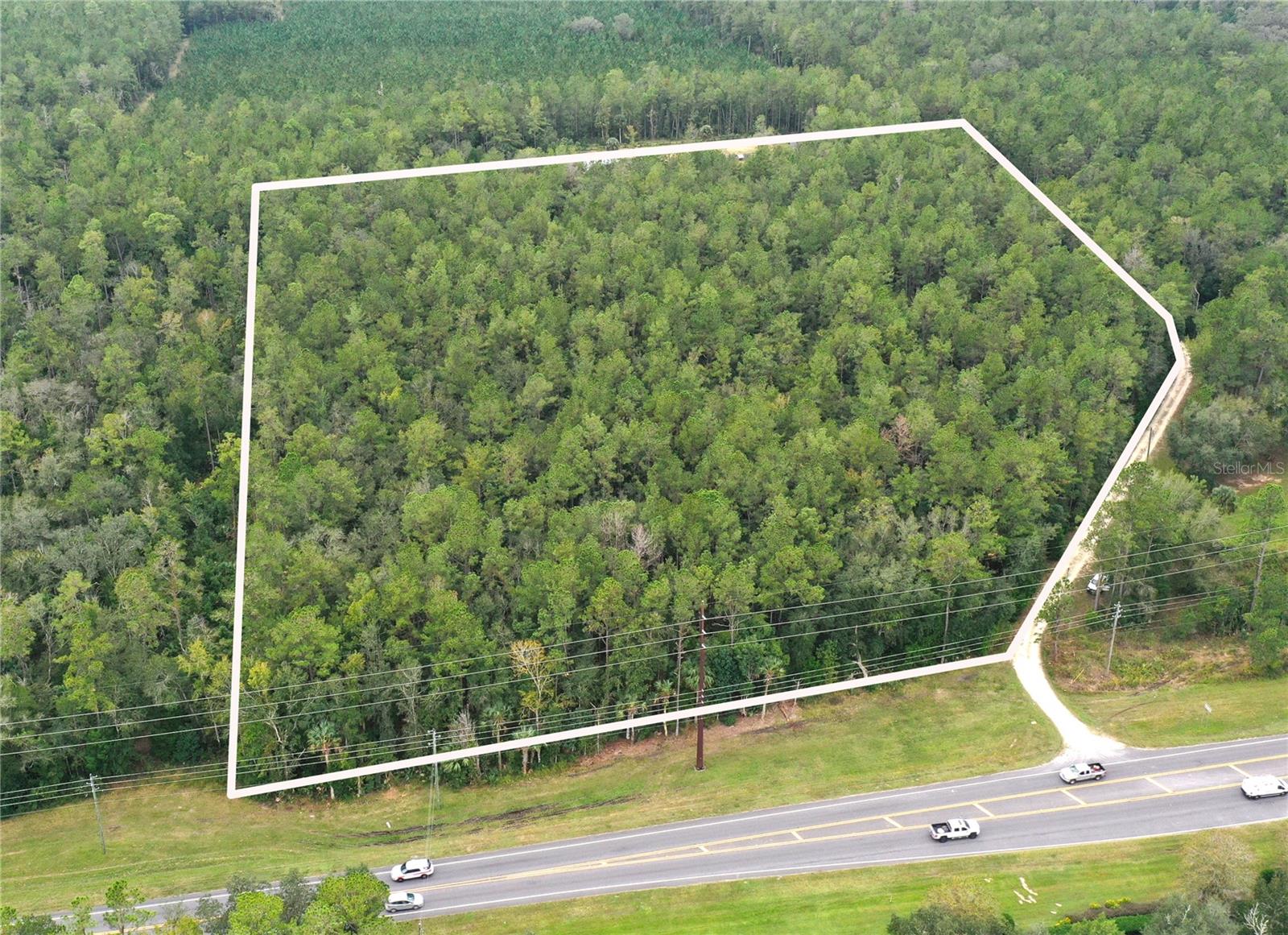 Tbd E Highway 40, FL