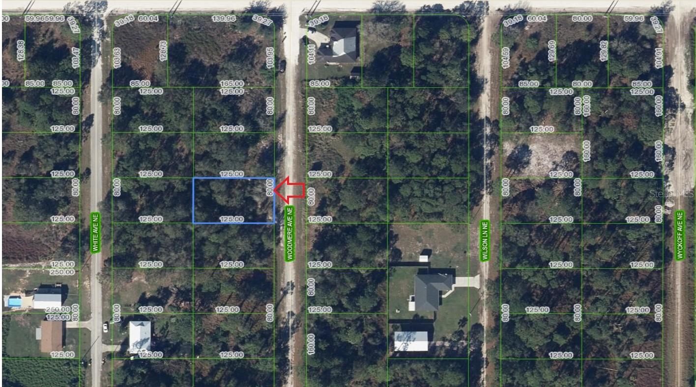 107 Woodmere Avenue, FL