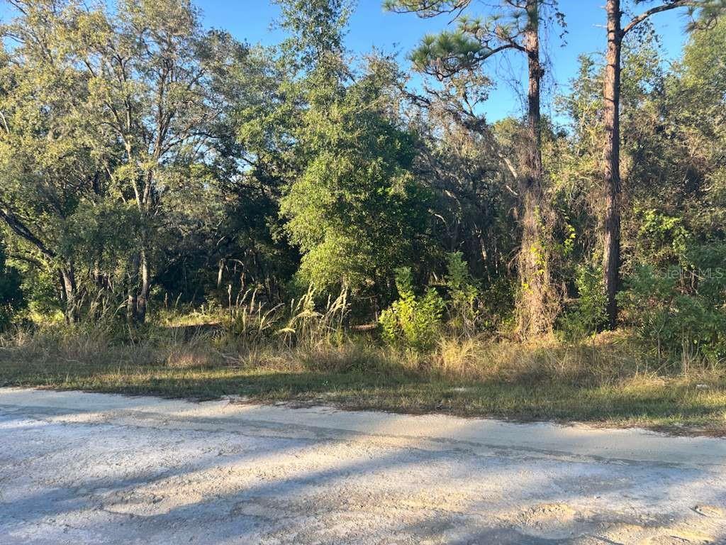 33193 Easter Dr, FL