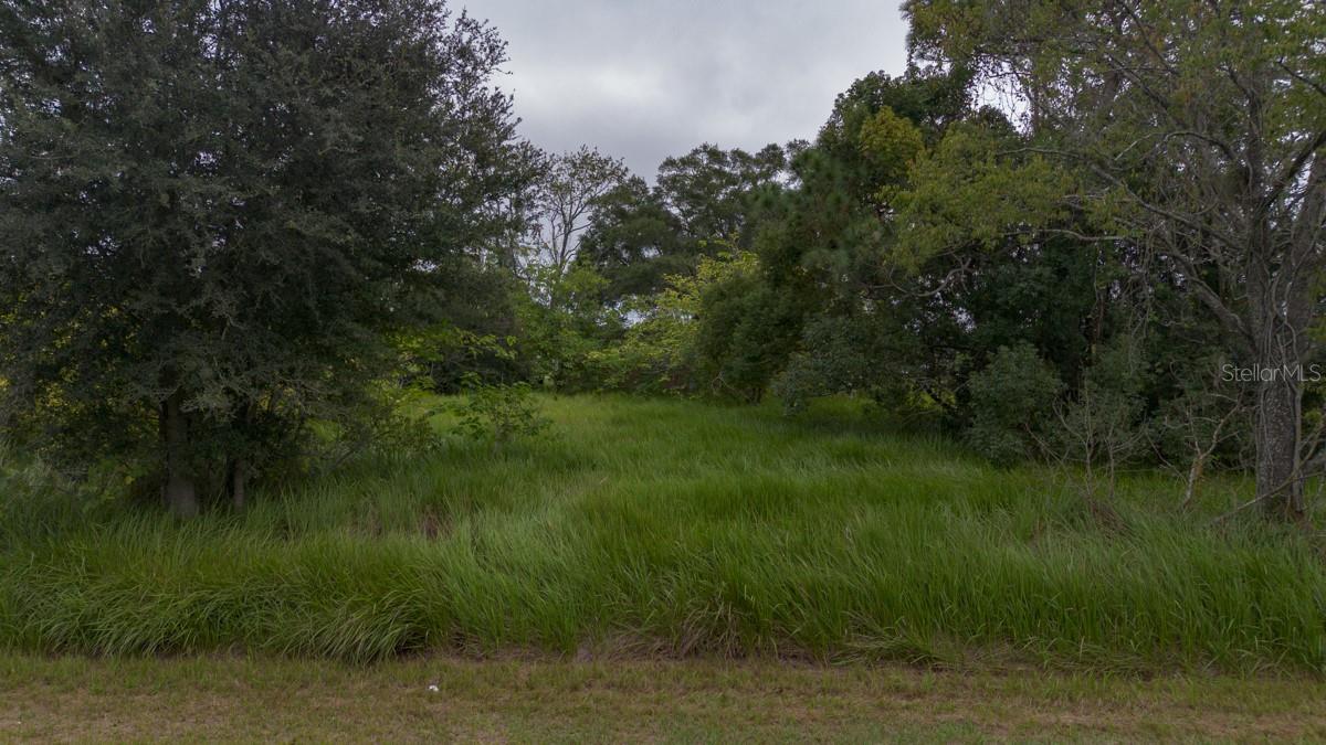 Laurel Ct, FL