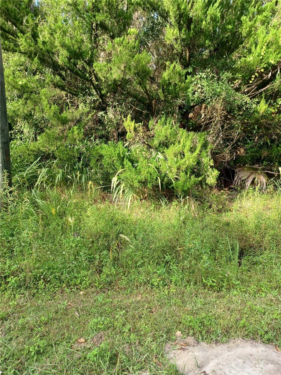 Winona Dr, FL