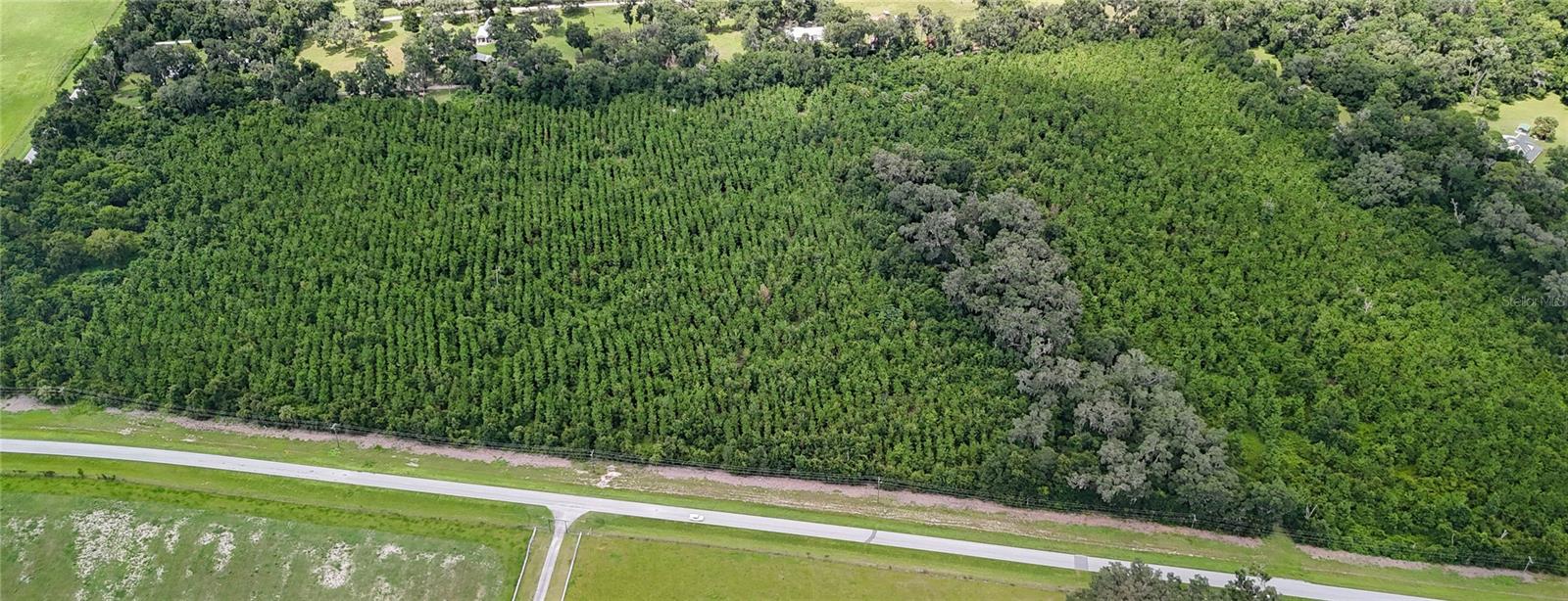 Tbd Sw County Road 346, FL