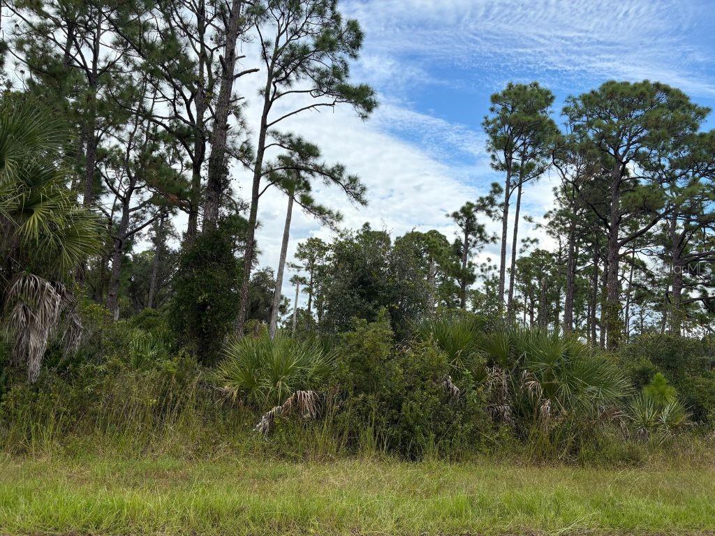 13458 Fairbanks Ave, FL