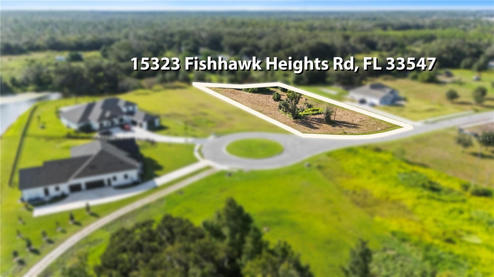 15323 Fishhawk Heights Run, FL