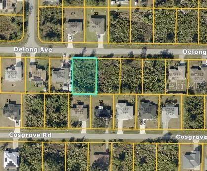 Delong Avenue, FL