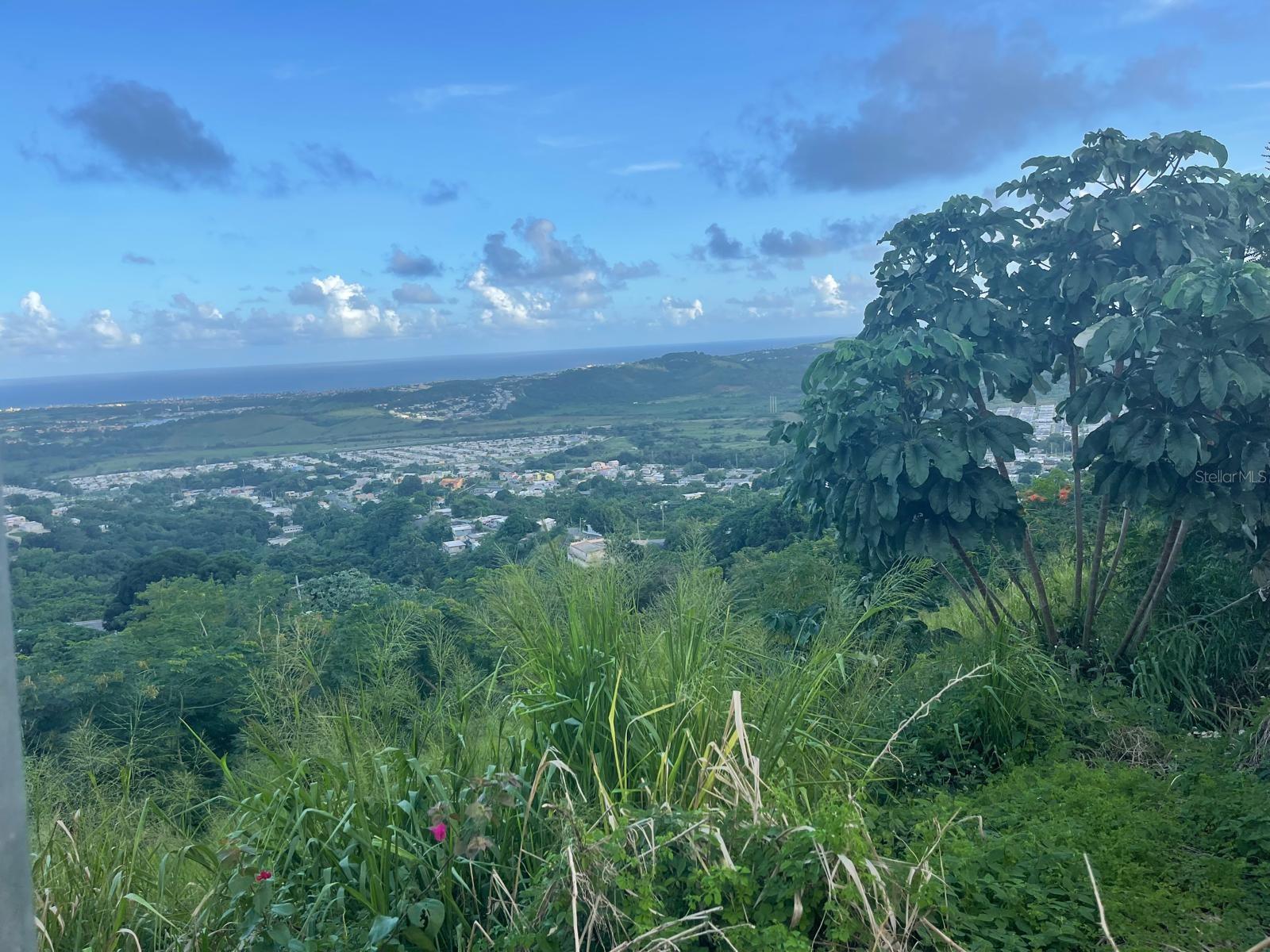 3 Candelero #1, PR