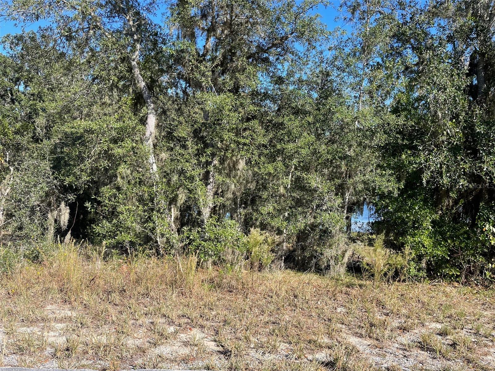 Lots 444, 445 Shorewood Drive, FL