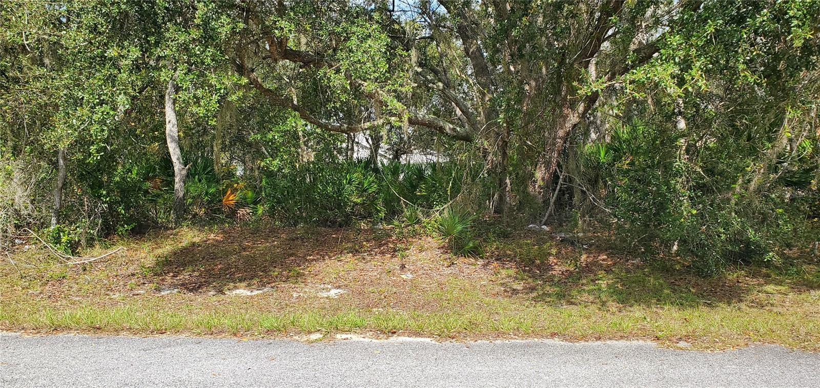 1227 Alafia Way, FL
