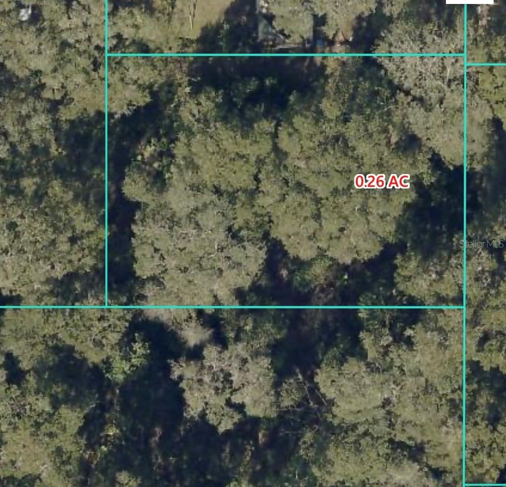 14383 42nd Terrace, FL