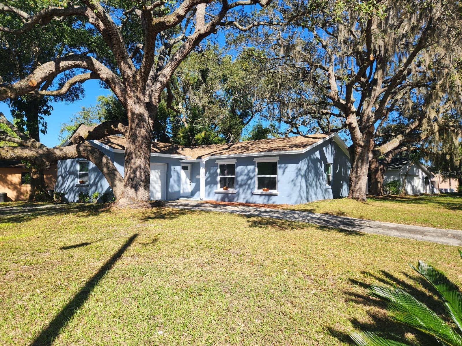 800 Diane Circle, FL