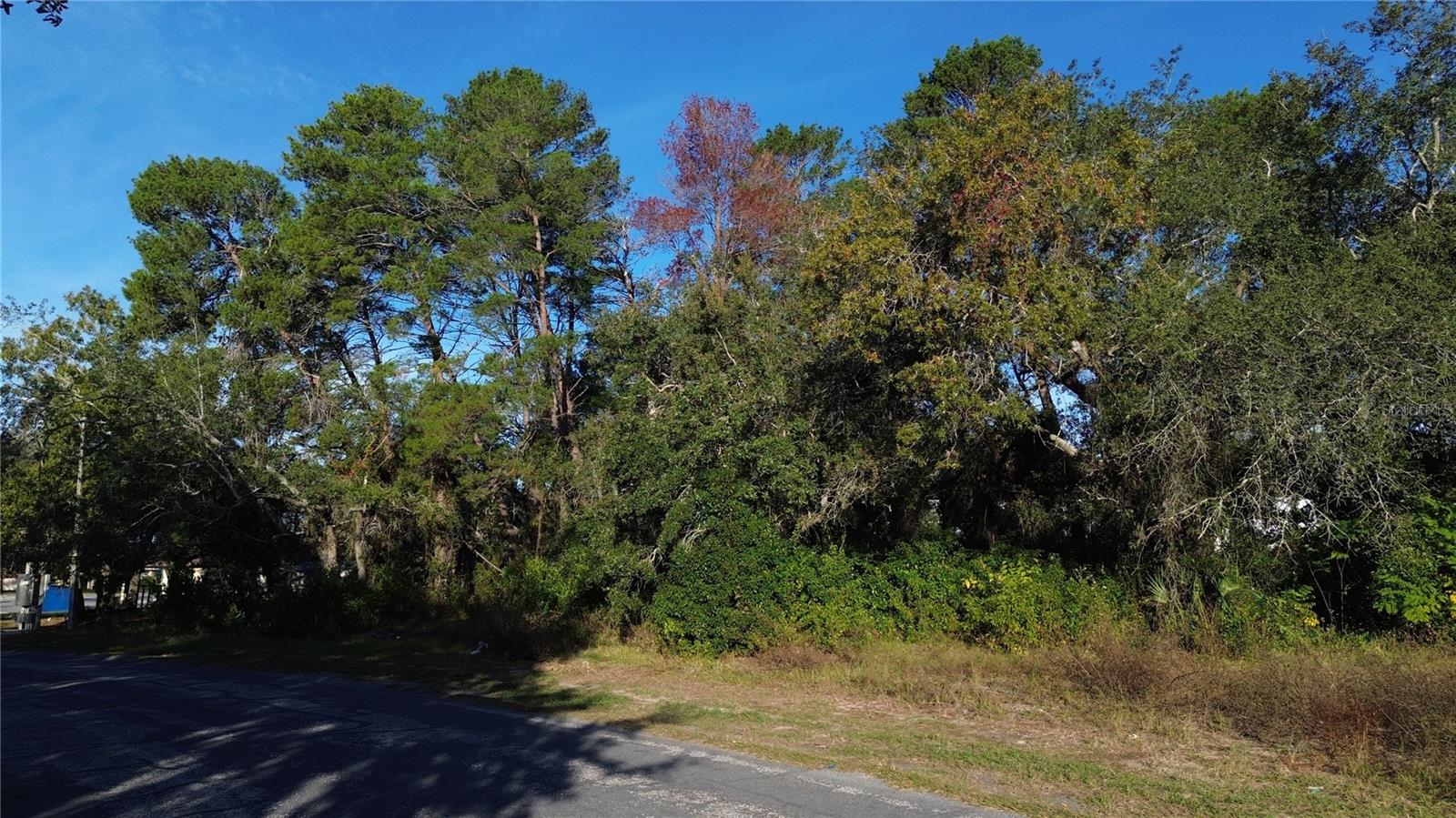 7939 Rhanbuoy Road, FL