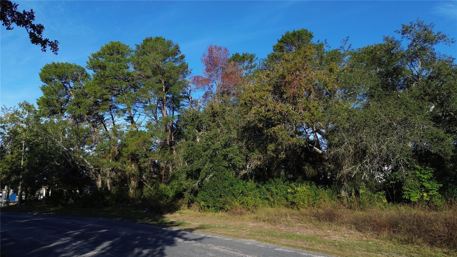 7939 Rhanbuoy Road, FL