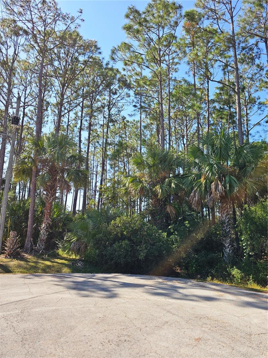 12 Ramsgate Pl, FL
