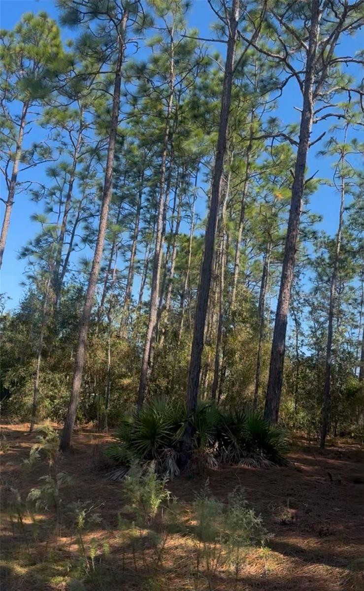 128th Terrace Road, FL