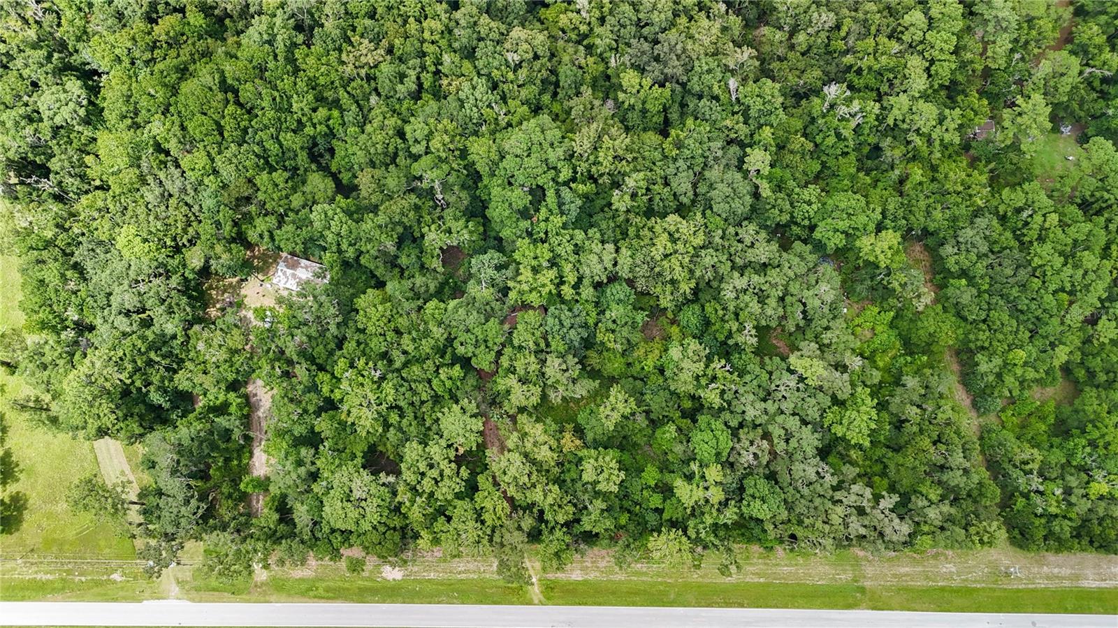 8108 Sw County Road 346, FL
