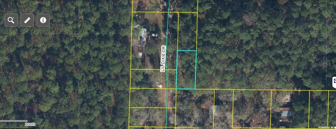 17847 Lil Dixie Dr, FL