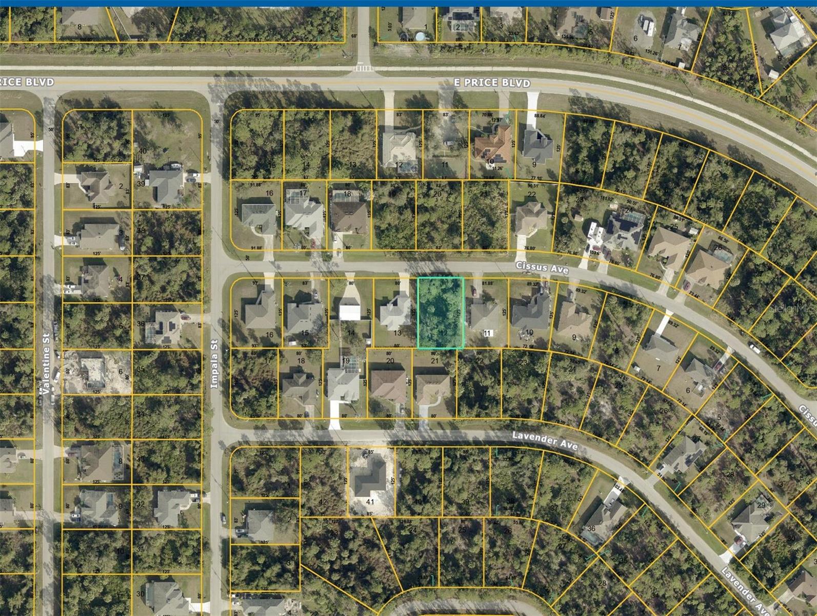 Cissus Avenue, FL