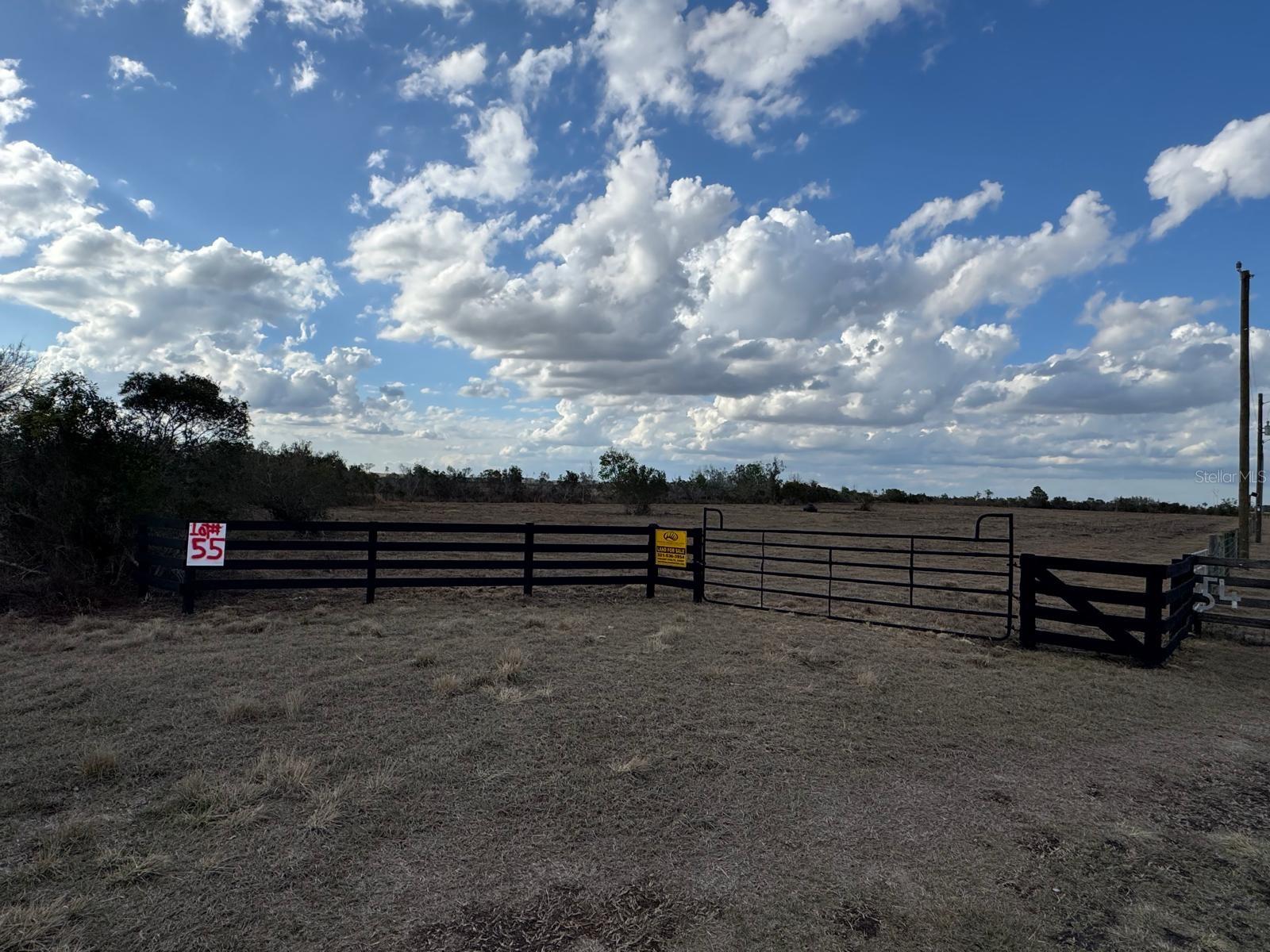 County Line Road, FL