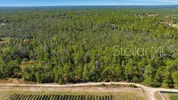 9478 N Timber Creek Ter, FL
