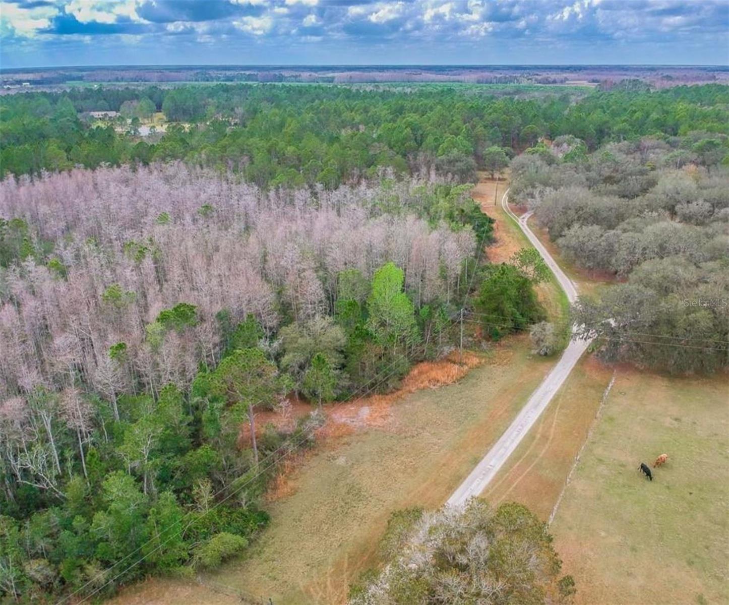 Duboise Drive, FL