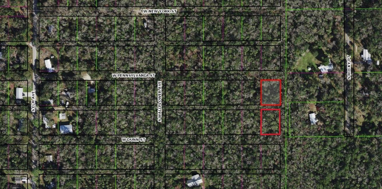 10008 Pennsylvania Street, FL