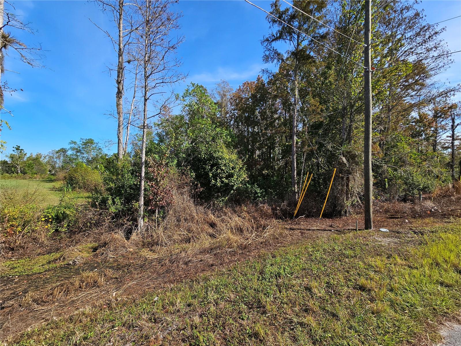 Luna Drive, FL