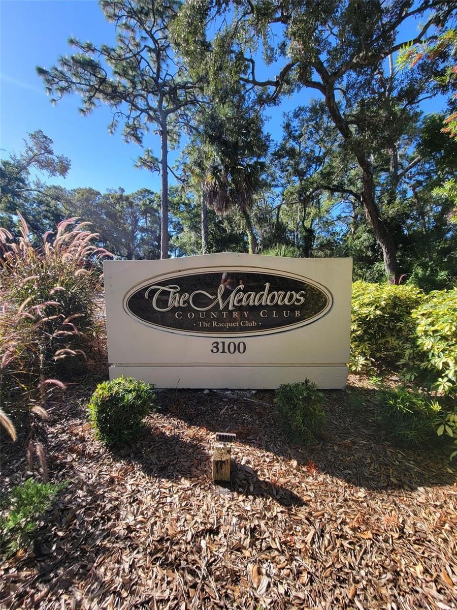 3097 Willow Green, FL