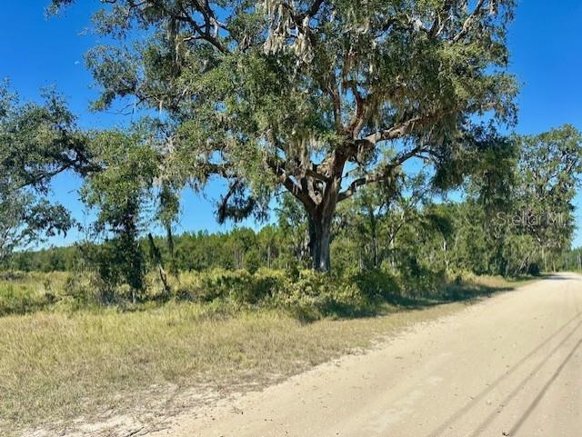 35th Ave, FL