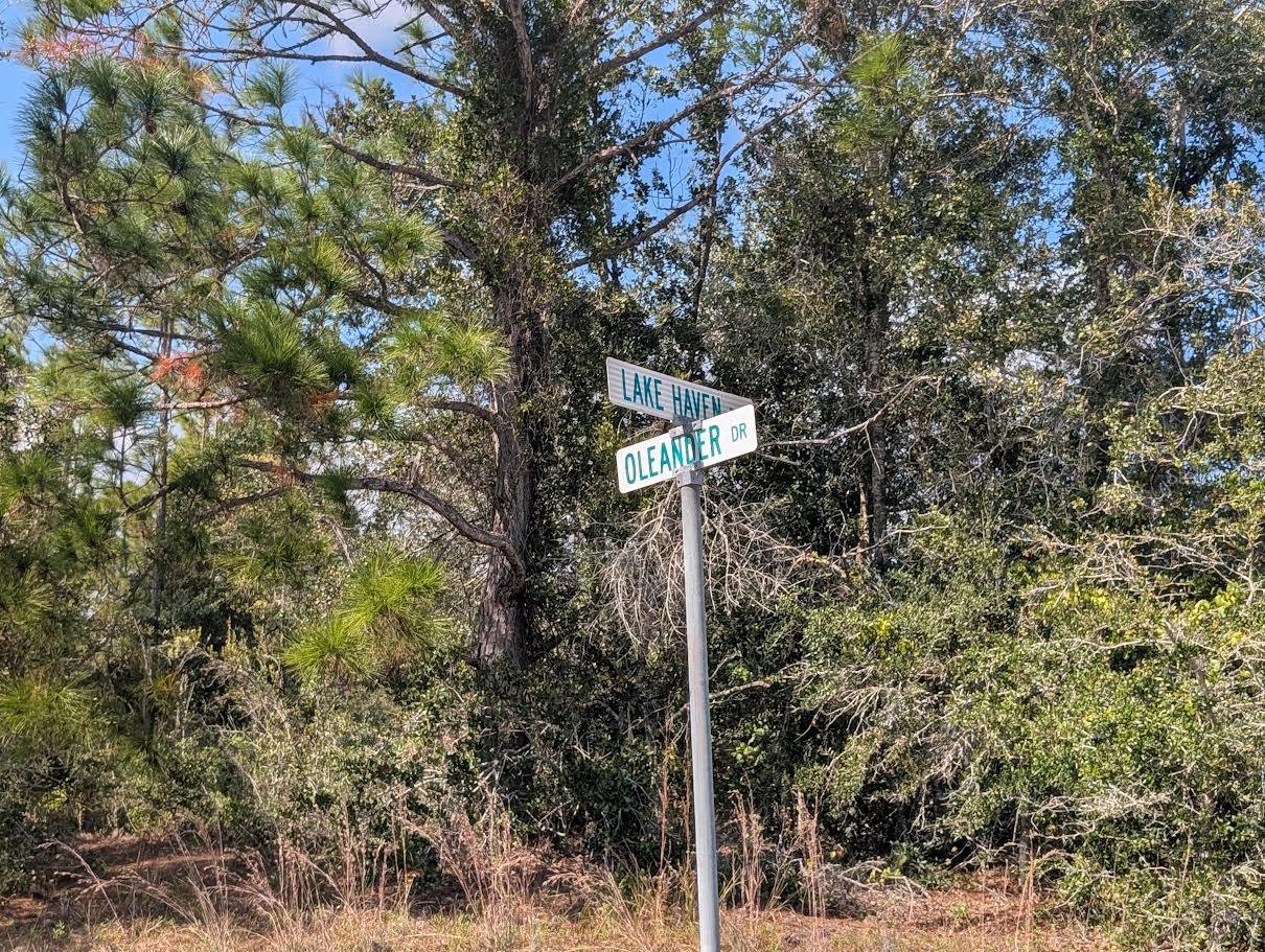 Oleander Dr, FL