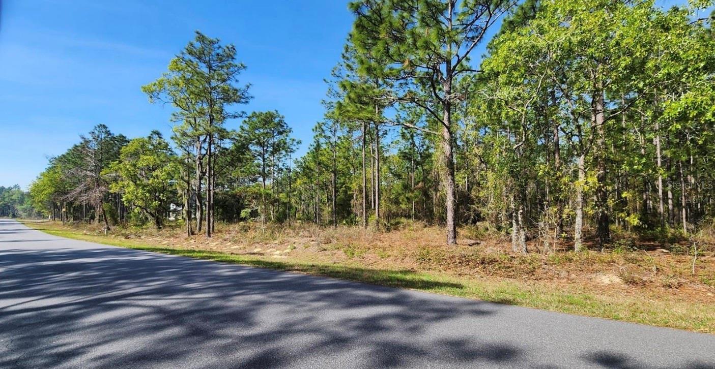 Tbd Cr 243b, FL